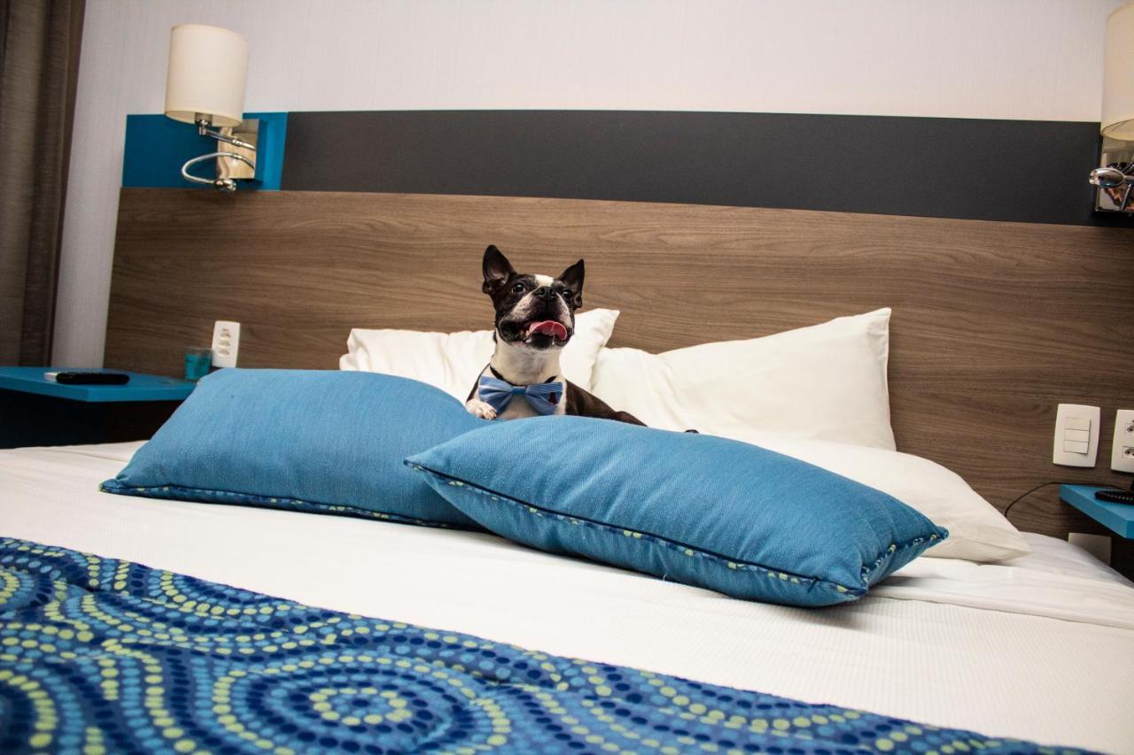 Hilton Garden Inn Santo Andre Eksteriør billede